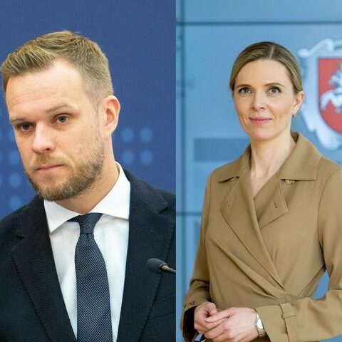 Ministrų komunikacija: naujai iškilę perliukai